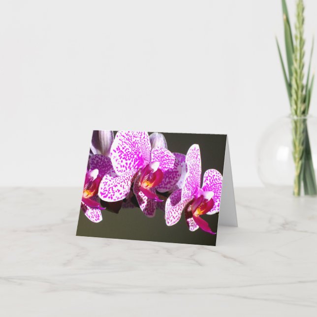 Pink Orchids Card (Front)