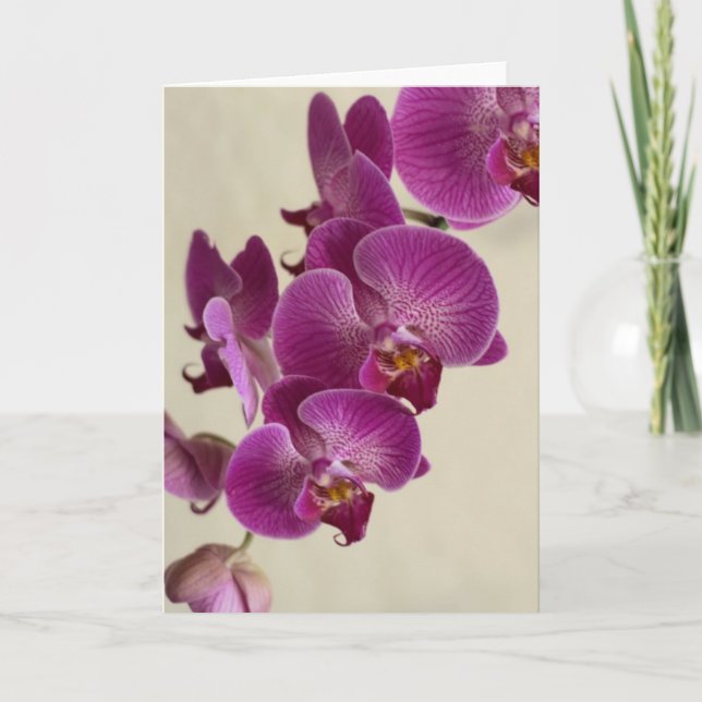 Pink Orchids Card (Front)