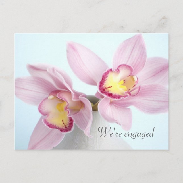 Pink Orchids Engagement Announcement Postcard (Front)