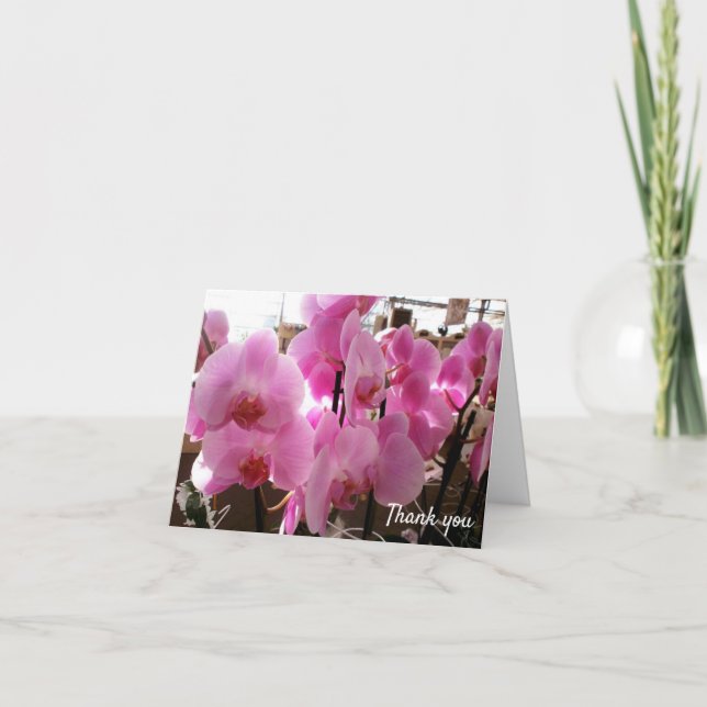 Pink Orchids Flowers Card (Front)