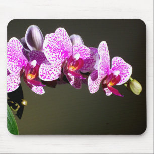 Pink Orchids Mouse Pad