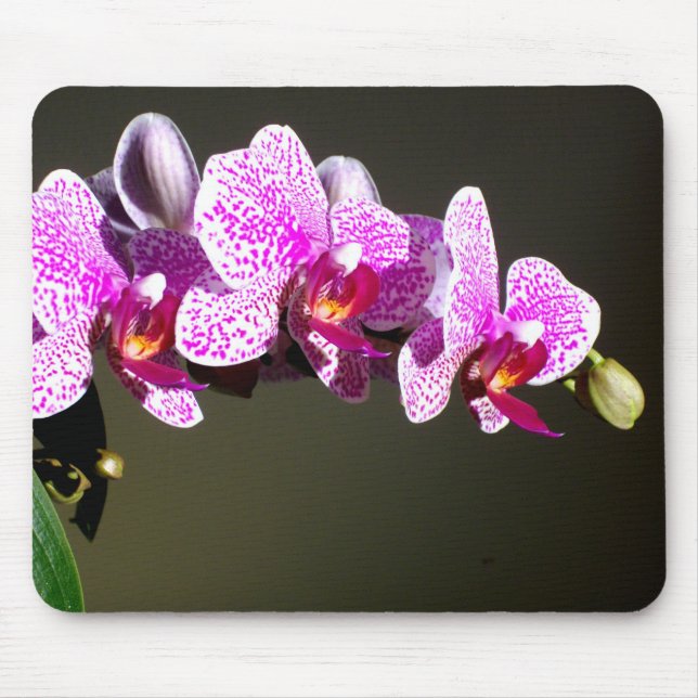 Pink Orchids Mouse Pad (Front)