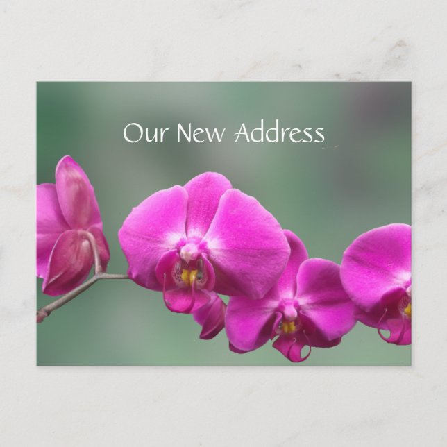 Pink Orchids New Address Announcement Postcard (Front)