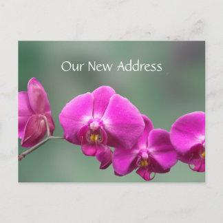 Pink Orchids New Address Announcement Postcard