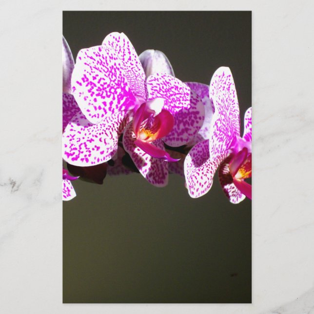 Pink Orchids, pink tropical flowers Stationery (Front)