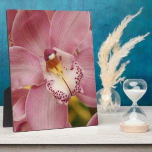 Pink Orchids Plaque