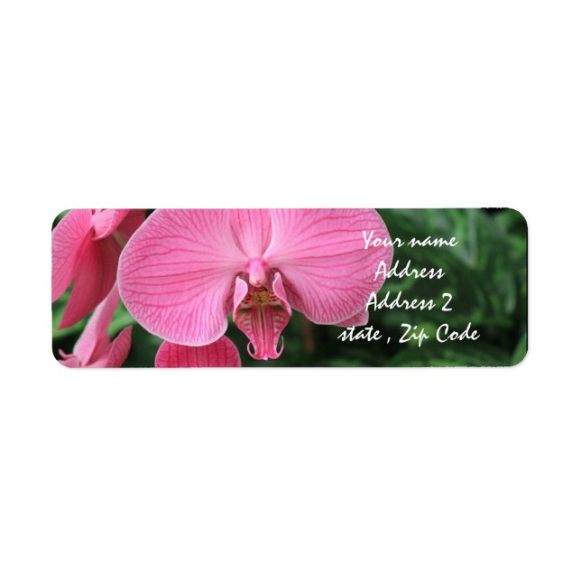 Pink Orchids Return Address Label (Front)