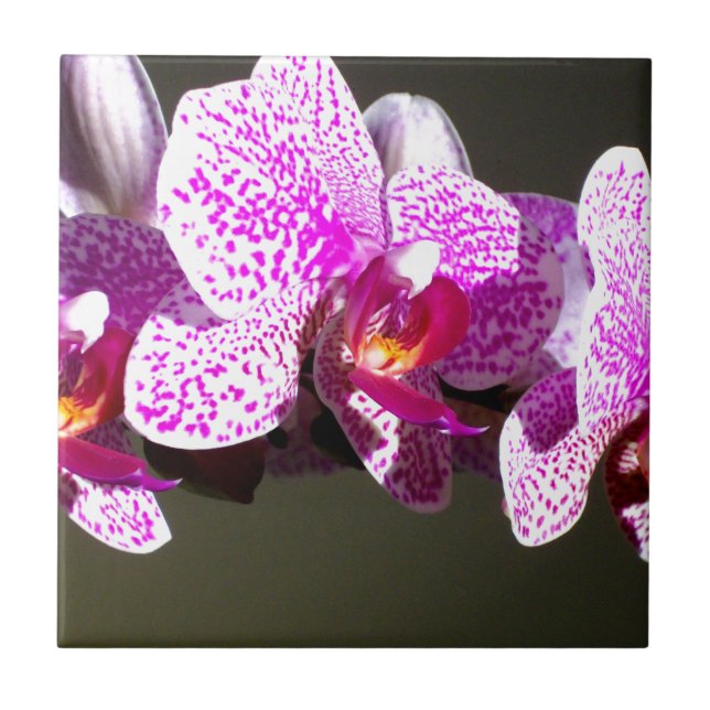 Pink Orchids romantic pink tropical floral photo Ceramic Tile (Front)
