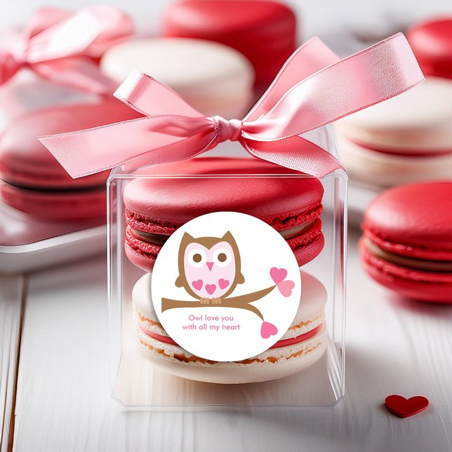Pink Owl Valentines Day Classic Round Sticker (Creator Uploaded)