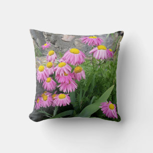 Pink Painted daisy Flowers Nature photography  Cushion