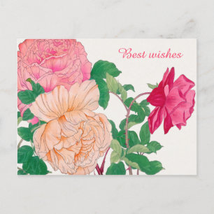 Pink & Pale Orange Rose Flowers Best Wishes Postcard