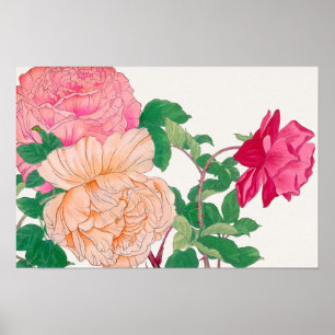 Pink & Pale Orange Rose Flowers Poster