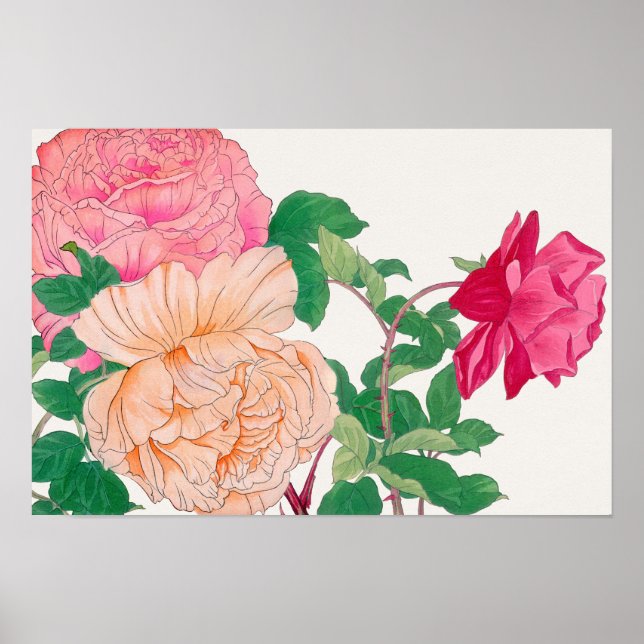 Pink & Pale Orange Rose Flowers  Poster (Front)