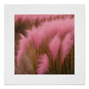 Pink Pam-pass Aesthetic Poster Photography Girls
