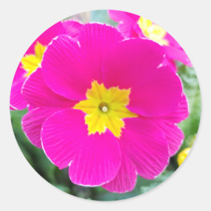 Pink Pansy in the Park Classic Round Sticker