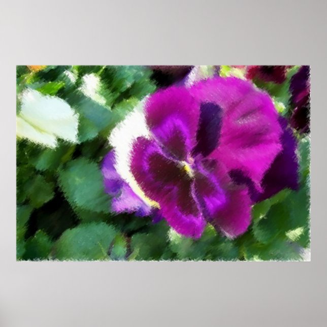 Pink Pansy Soft Sketch Poster (Front)