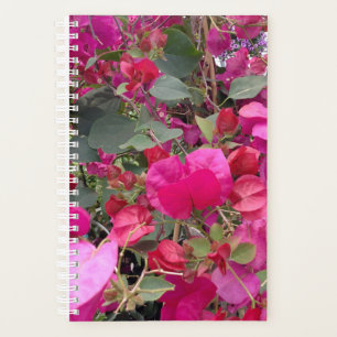 Pink Paper Flowers in the Garden Planner