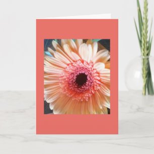 Pink Peach Daisy Flower Blank inside Note Card