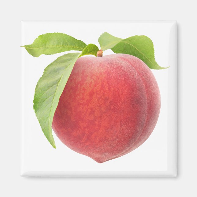 Pink peach magnet (Front)