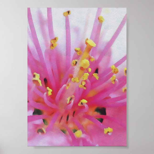 Pink Peach Pollen Macro Abstract Art Poster (Front)