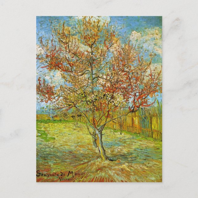 Pink Peach Tree in Blossom by Vincent van Gogh Postcard (Front)