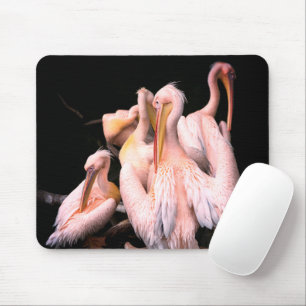 Pink Pelicans Mouse Pad
