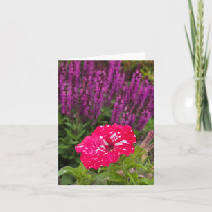 Pink Pentunia Card