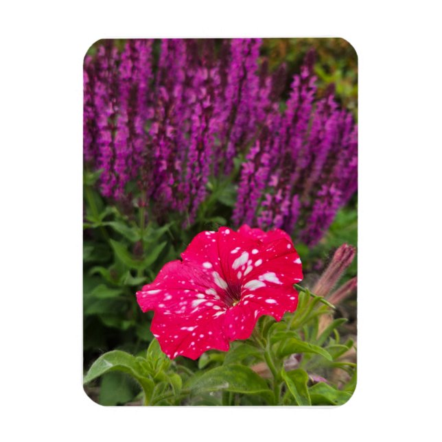 Pink Pentunia Magnet (Vertical)