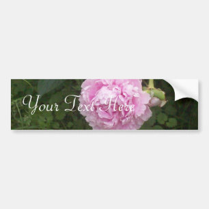 Pink Peonies Bumper Sticker