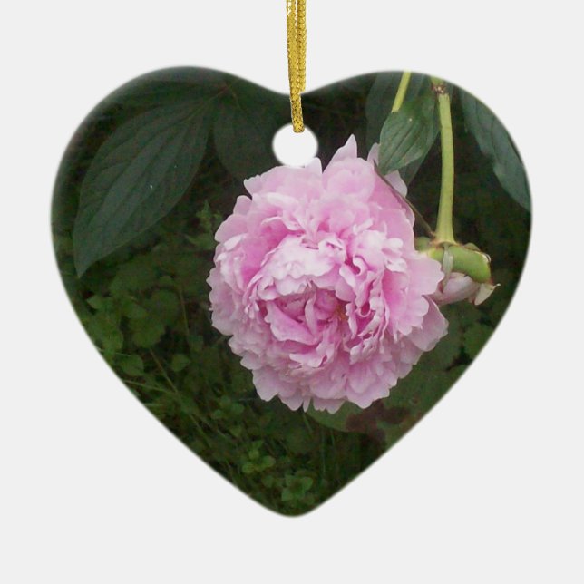 Pink Peonies Ceramic Ornament (Front)