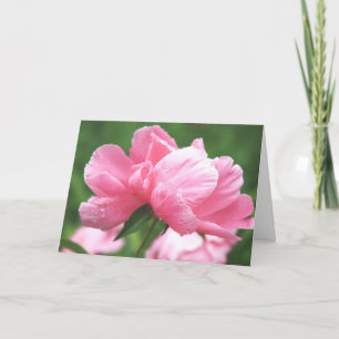 Pink Peonies Greeting Card