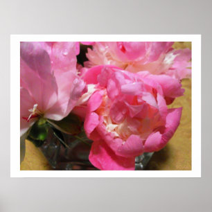 Pink Peonies in Vase / Peony Flower Poster