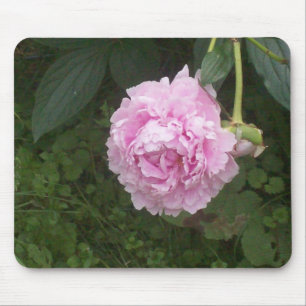 Pink Peonies Mouse Pad