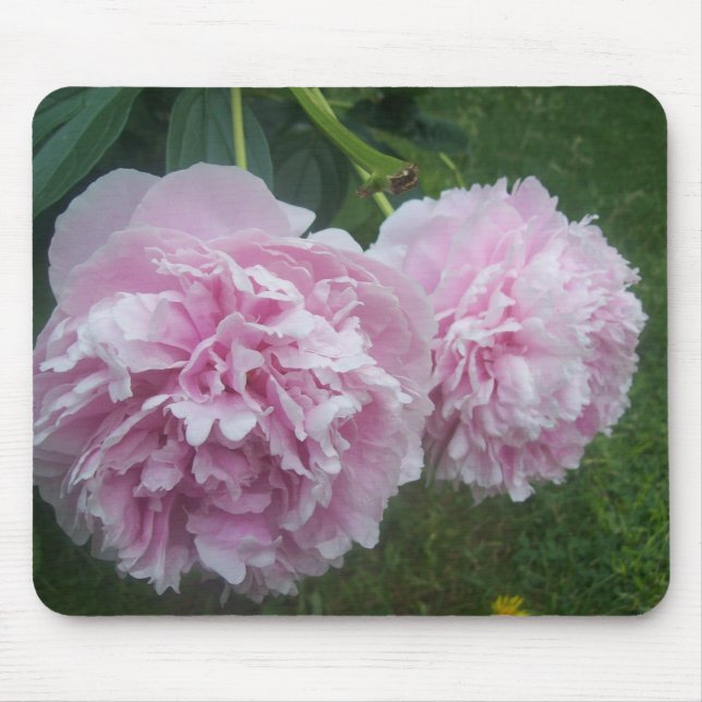 Pink Peonies Mouse Pad (Front)