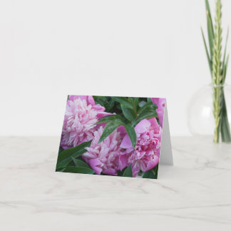 Pink Peonies Note Card