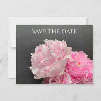 Pink peonies with text space save the date