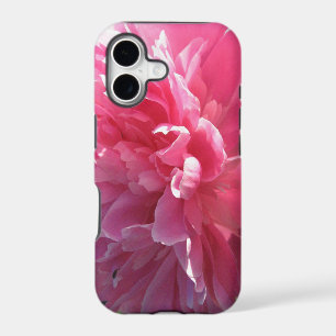 Pink Peony
