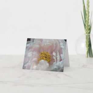 Pink Peony Awakening Flower Photography  Note Card