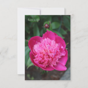 Pink Peony & Baby Bud Card