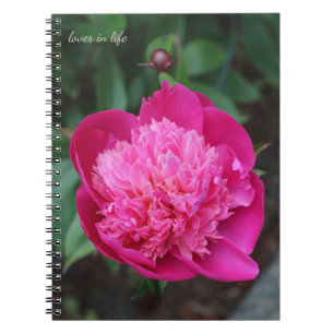 Pink Peony & Baby Bud Notebook