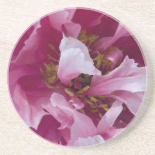 Pink Peony Beverage Coaster