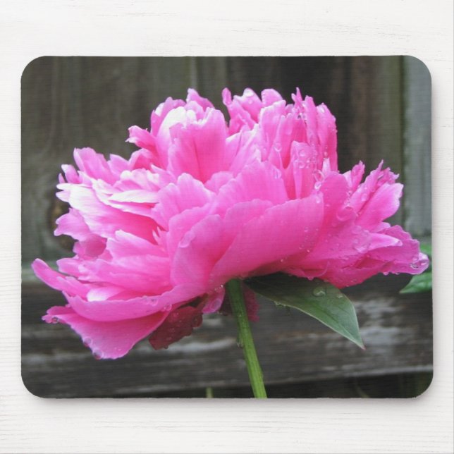 Pink Peony Bloom Mouse Pad (Front)