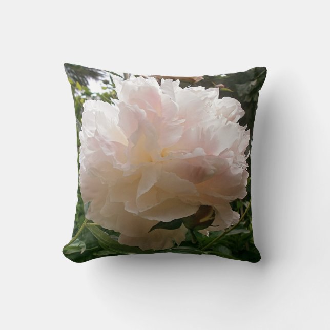 Pink Peony Blossom. Cushion (Front)