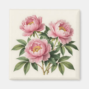 Pink Peony Bouquet Vintage Botanical Illustration Magnet