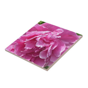 Pink Peony Ceramic Tile