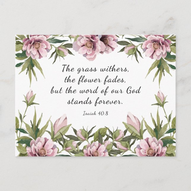 Pink Peony, Christian Inspirational Bible verse  Postcard (Front)