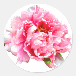 PINK PEONY CLASSIC ROUND STICKER