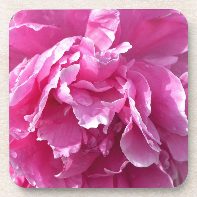 Pink Peony Coaster (Front)