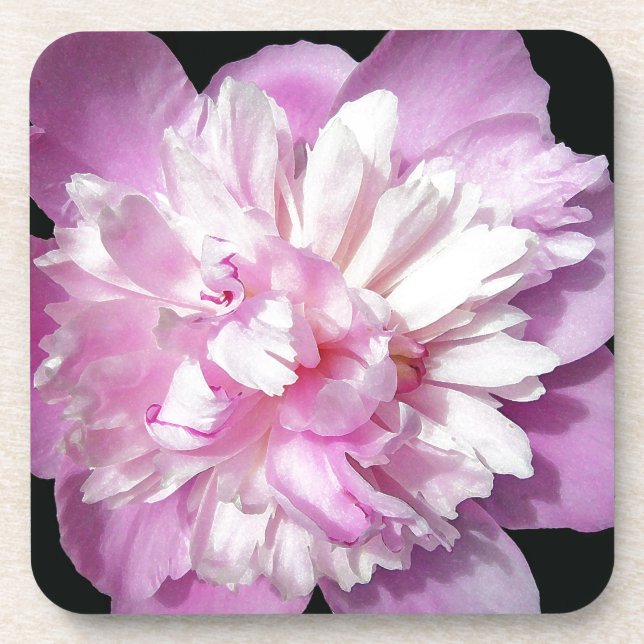 Pink Peony Coaster (Front)