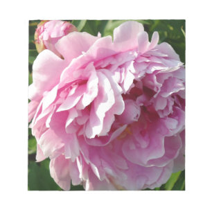 Pink Peony   cottage farmhouse floral garden Notepad